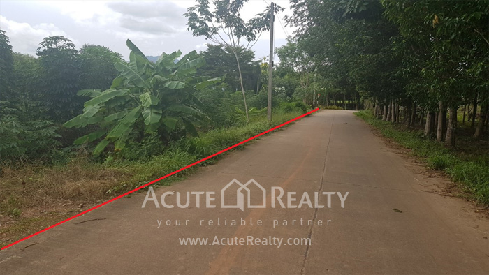Land for sale in Rayong, Land for sale in Klaeng, Land near Sukhumvit Rd, Land near Suan Son beach._image1