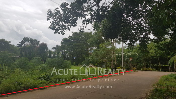 Land for sale in Rayong, Land for sale in Klaeng, Land near Sukhumvit Rd, Land near Suan Son beach._image2