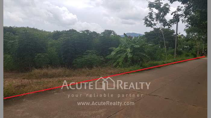 Land for sale in Rayong, Land for sale in Klaeng, Land near Sukhumvit Rd, Land near Suan Son beach._image3