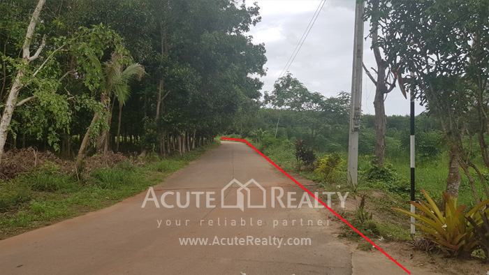 Land for sale in Rayong, Land for sale in Klaeng, Land near Sukhumvit Rd, Land near Suan Son beach._image4