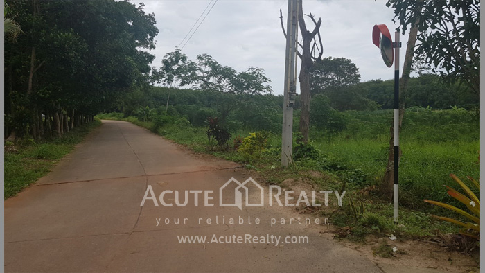Land for sale in Rayong, Land for sale in Klaeng, Land near Sukhumvit Rd, Land near Suan Son beach._image5