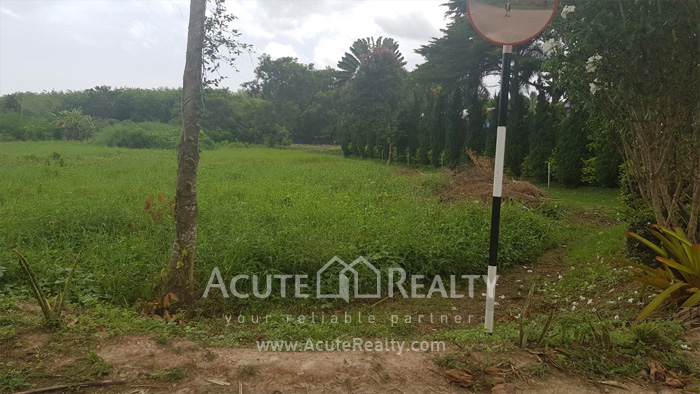 Land for sale in Rayong, Land for sale in Klaeng, Land near Sukhumvit Rd, Land near Suan Son beach._image6