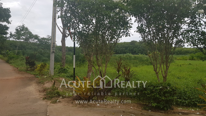 Land for sale in Rayong, Land for sale in Klaeng, Land near Sukhumvit Rd, Land near Suan Son beach._image8
