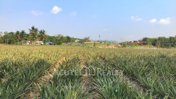 Land for sale 23 Rai  close to Chomview Hourse riding club 
_image5
