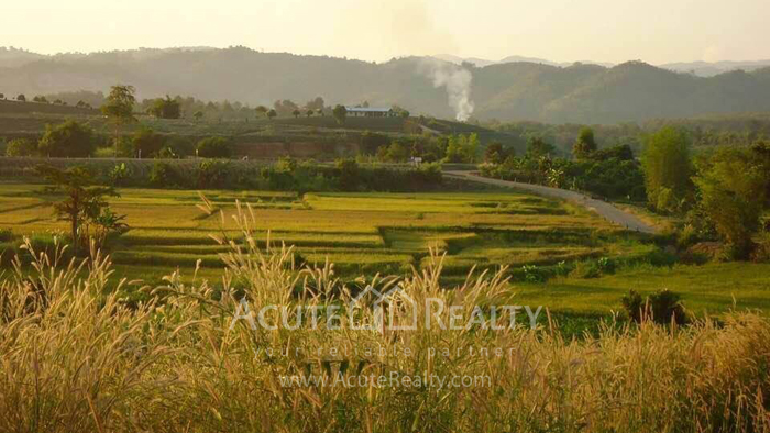Land for sale in chiang rai, land in Meajan_image2