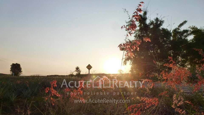 Land for sale in chiang rai, land in Meajan_image4