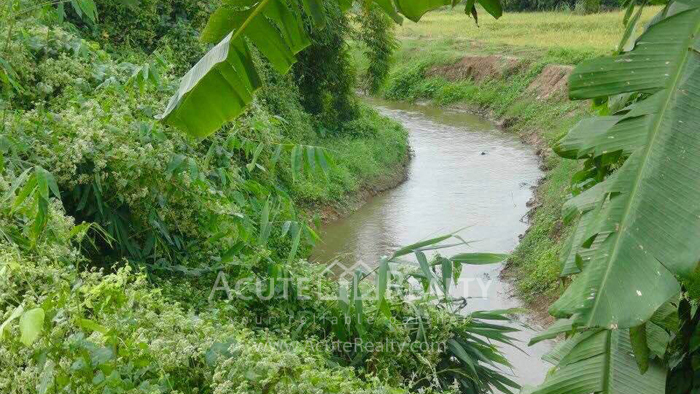 Land for sale in chiang rai, land in Meajan_image5