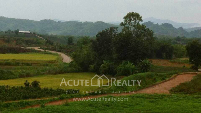 Land for sale in chiang rai, land in Meajan_image7