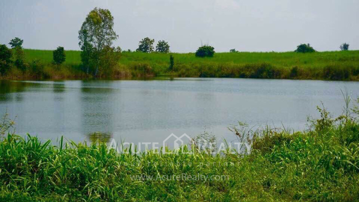 Land for sale in chiang rai, land in Meajan_image11