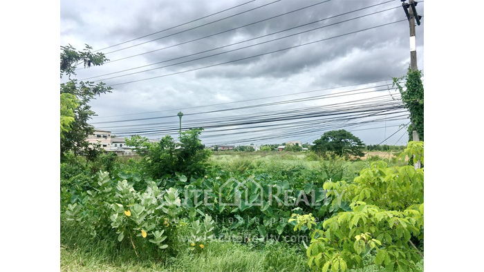 land-for-sale-for-rent-L-610610-0023