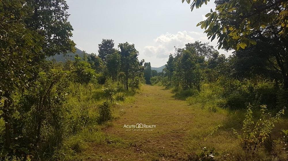 Resort for sale at Lamphun, Lamphun project for sale, House for sale in lamphun._image4