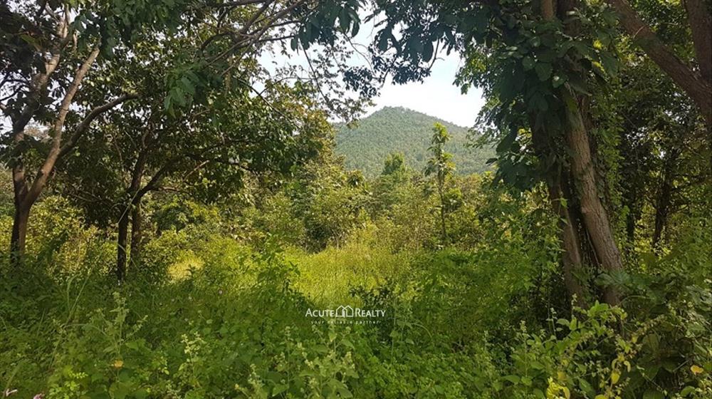 Resort for sale at Lamphun, Lamphun project for sale, House for sale in lamphun._image8