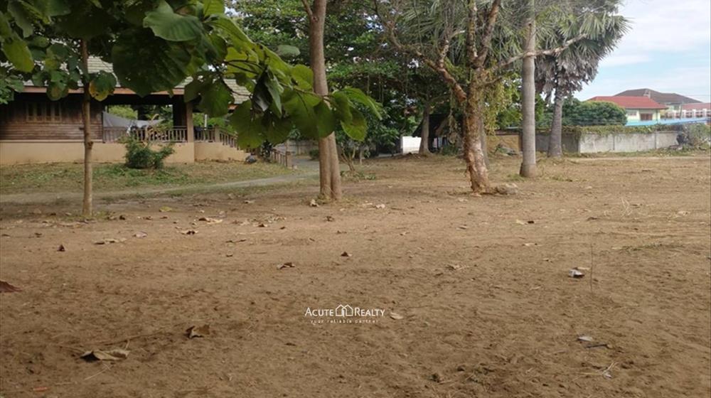 Land for sale in lamphun, Land for sale on lamphun road_image8