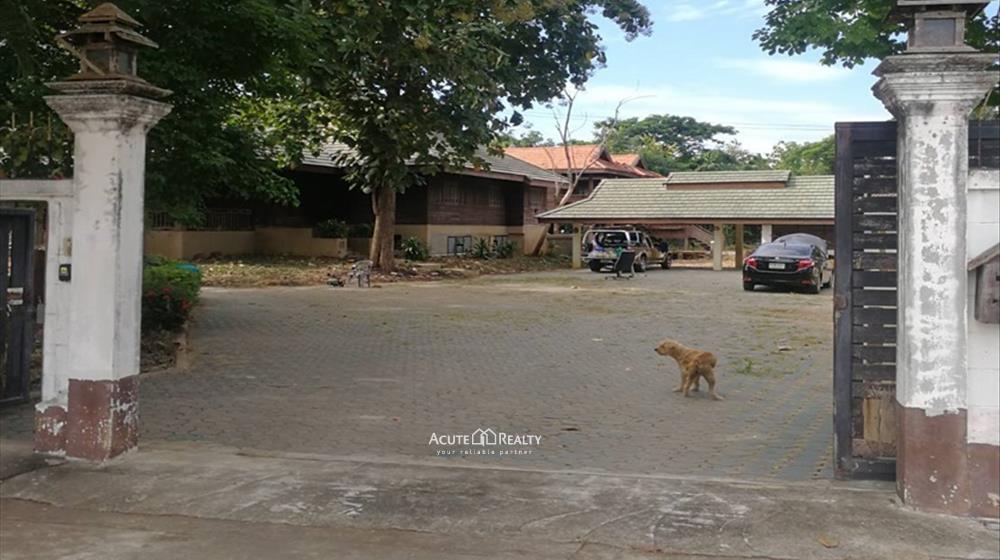 Land for sale in lamphun, Land for sale on lamphun road_image9