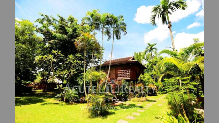 house-resort-for-rent-