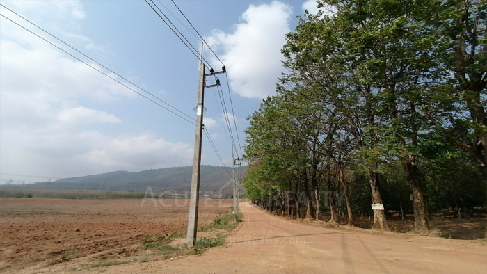 Land for sale in KlongKiew, Land Ban Bueng, Land Chonburi, Land for sale on 3138 Rd._image8