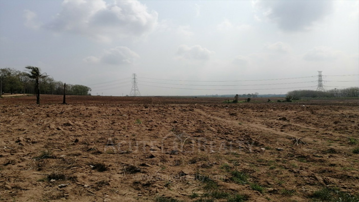 Land for sale in KlongKiew, Land Ban Bueng, Land Chonburi, Land for sale on 3138 Rd._image11