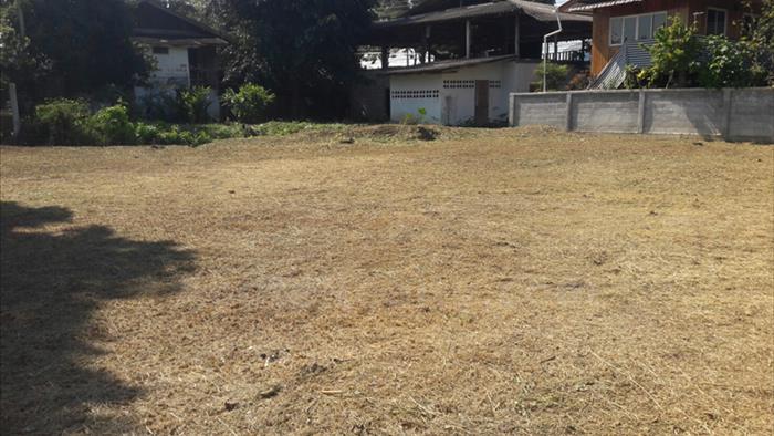 Land for sale on Chiang Mai - Lampang road, land for sale lamphun_image4