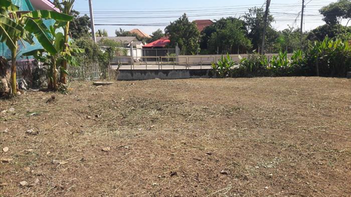 Land for sale on Chiang Mai - Lampang road, land for sale lamphun_image6