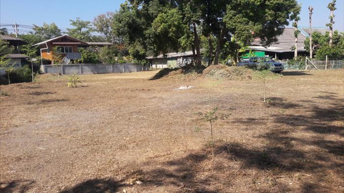 Land for sale on Chiang Mai - Lampang road, land for sale lamphun_image9
