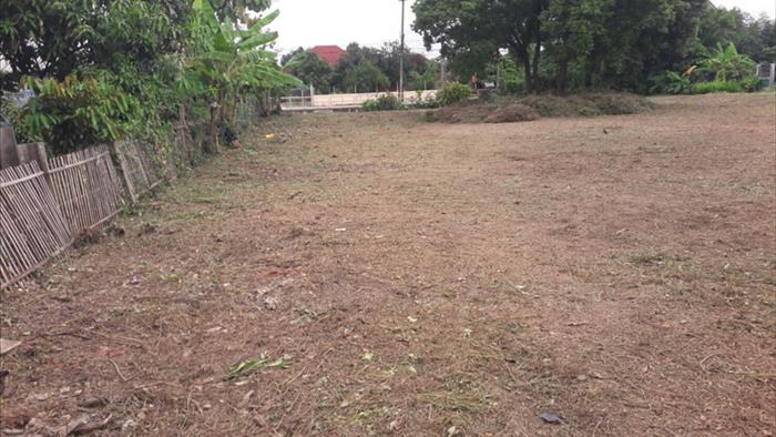 Land for sale on Chiang Mai - Lampang road, land for sale lamphun_image12