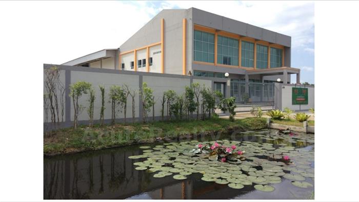 โรงงาน-เพื่อขาย
