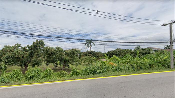 Land for sale in lamphun, Land for sale suitable for agriculture in Lamphun._image2