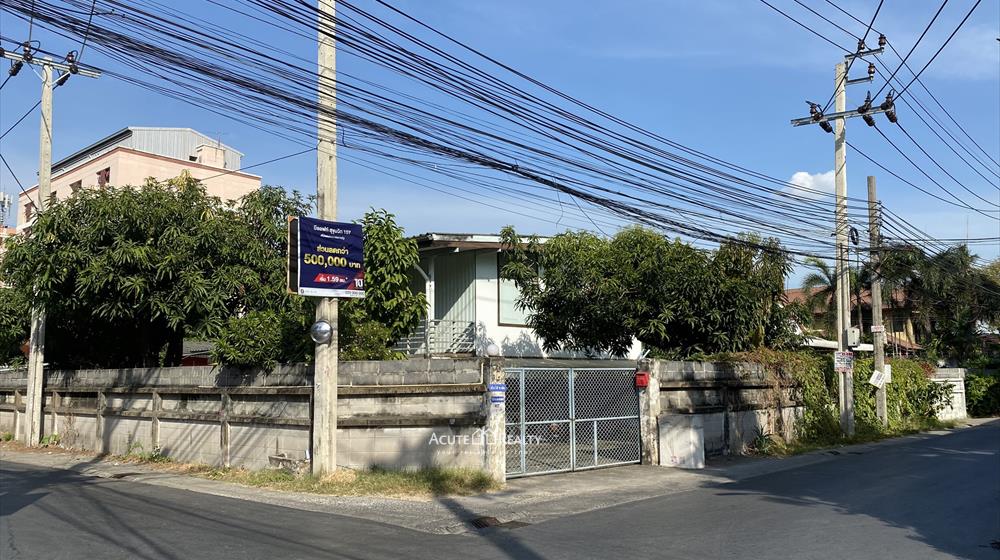 ขายที่ดิน สุขุมวิท 105 พร้อมบ้านเดี่ยว เนื้อที่ 351 ตารางวา_image4