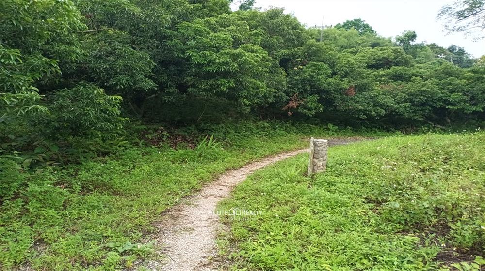 ขายบ้านพร้อมที่ดินฝางเชียงใหม่_image6