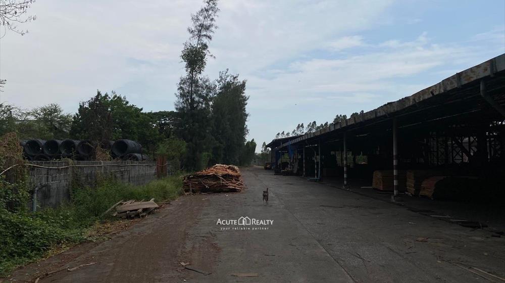 ขายโรงงานผลิตไม้อัดติดถนนใหญ่ บางบัวทอง-สุพรรณบุรี
_image9
